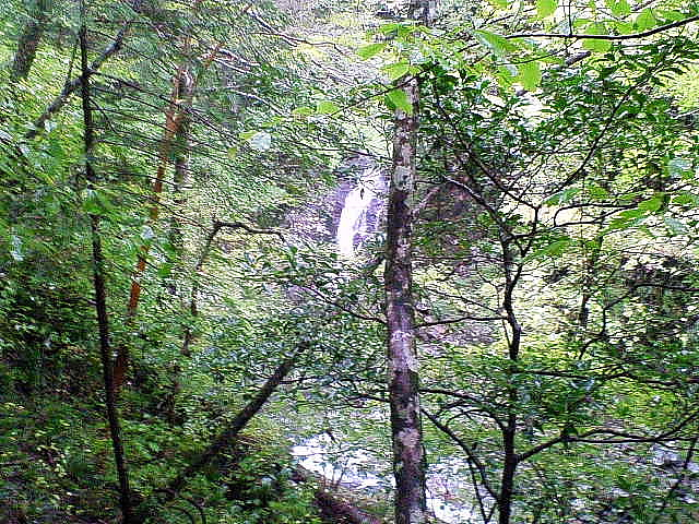 ���i���̑�