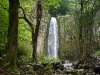 鹿目の滝2
