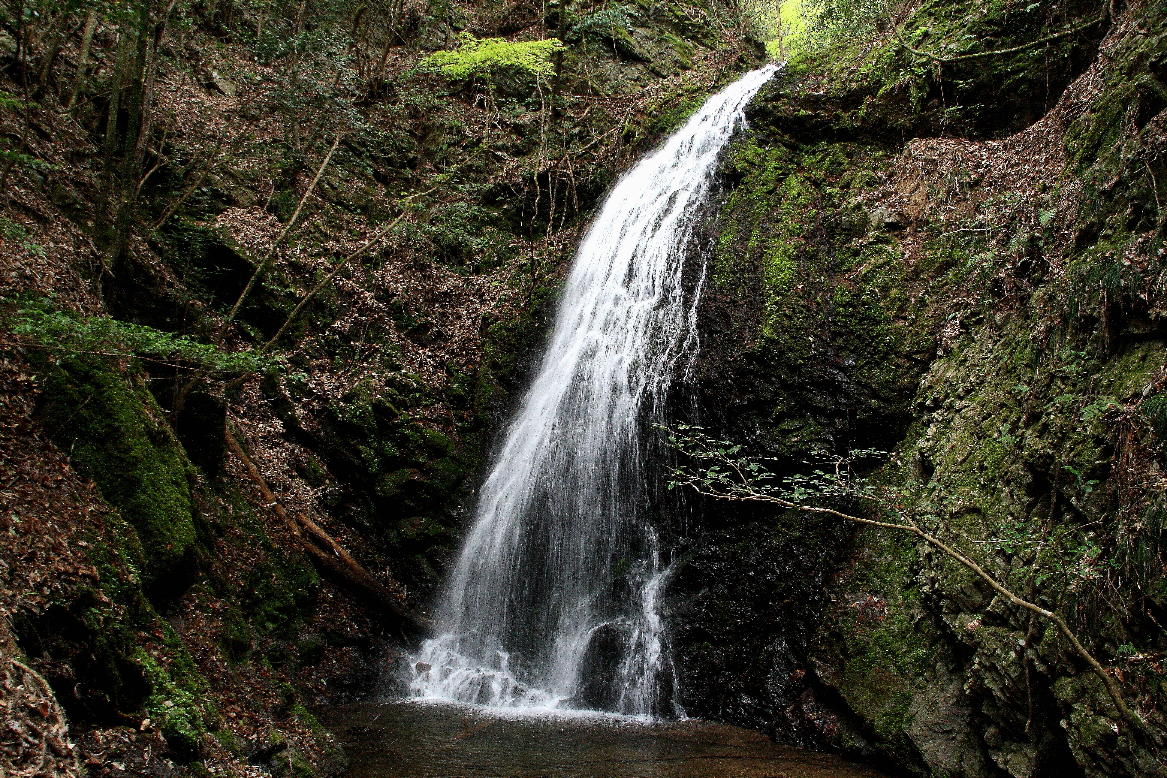 全景・御木奈の滝