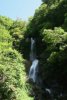 全景