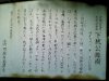 銀杏案内
